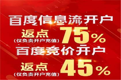 案例分享：SEM推广助力电商快速崛起